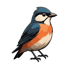 vector beautiful bird flat design .
