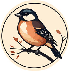vector beautiful bird flat design .