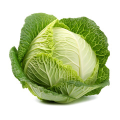 organic natural full cabbage