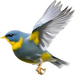 Fototapeta premium Close-up image of a Tropical parula bird. 