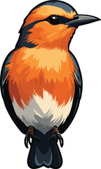 vector beautiful bird flat design .