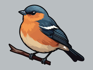 vector beautiful bird flat design .