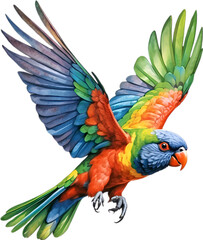 Obraz premium Close-up image of a Rainbow Lorikeet bird. 