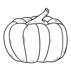 pumpkin illustration outline isolated vector