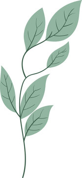 plant illustration, plant branch with grey leaves entering autumn