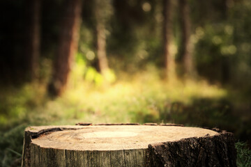 Naklejka premium Empty rustic table in front of countryside background. product display and picnic concept