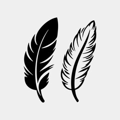two black and white feathers on a white background