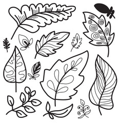 Fototapeta na wymiar Tropical Leaves in doodle style for coloring page, stickers, decor, postcard. Vector illustration.