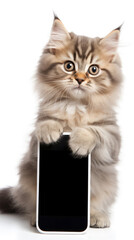 A fluffy long-haired cat holding a smartphone with its paws, showcasing how even pets can seem to engage with technology.