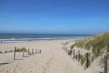 Weg zum weitläufigen Sandstrand mit Dühnen an der Nordsee in Holland Noordwijk