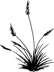 grass sketch pen drawing