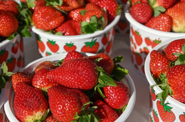 juicy appetizing strawberries at a local market in Cyprus in winter 9