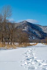 Fototapeta na wymiar 晴れた冬の田舎の雪に覆われた田舎道に残った足跡。