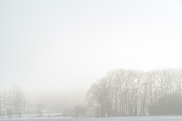 冬の白い原野の霧に霞んだ木々。
