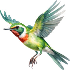 Fototapeta premium Close-up image of a Cuban Tody bird. 