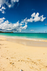 Obraz premium Caribbean beach - Antigua Island