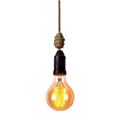 Png of Glass bulb hanging on a rope against transparent Background