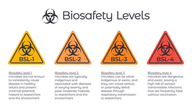 Biosafety levels BSL vector illustration infographic or laboratory safety
