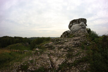 Limestone rock, kromołowiec, Sielsia, Poland