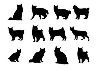 Collection of cat silhouette vector illustrations - obrazy, fototapety, plakaty