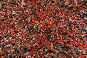 Lía Tân Châu Close-up (Kep, Cambodia)