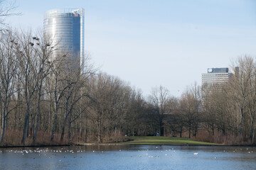 Rheinauenpark in Bonn mit Hochhäusern im Winter