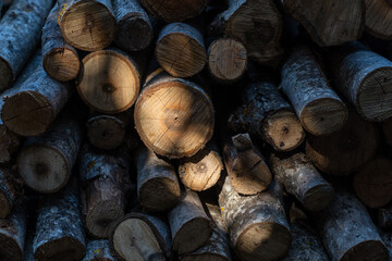 Sunlit heat. Harnessing tree wooden logs for warmth. Pattern and texture. Background.