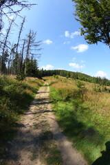Gravel cyclin in czech republic mountains