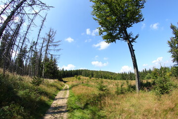 Obraz premium Gravel cyclin in czech republic mountains