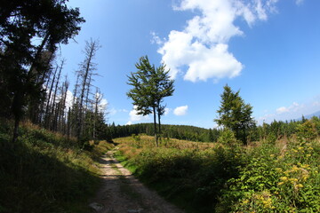 Gravel cyclin in czech republic mountains