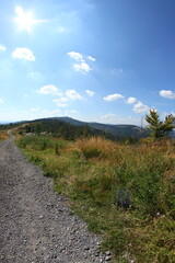 Fototapeta na wymiar Beskydy mountains in czech republic in summer