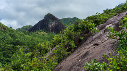 Anse Major Trail. Seychelles 