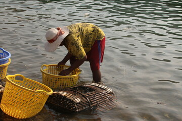 Fisherwomen selecting Blue Crabs in Kep (Cambodia)