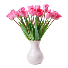 pink tulips in a vase isolated. Gladiolus Flower ‘Prins Claus’ Vase Arrangements isolated on transparent background