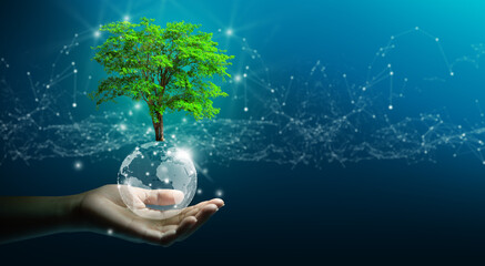 Hand holding growing tree on crystal ball with technological convergence blue background....