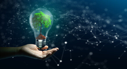 Hand holding growing tree and soil inside the light bulb with technology background. Saving energy...