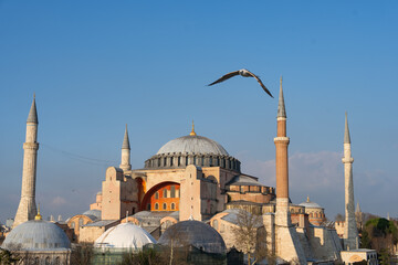 Turkish Coffee and Turkish Delight with Hagia Sophia in the Background, Sultanahmet Square Fatih, Istanbul Turkey