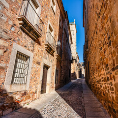 Fototapeta na wymiar Ancient stone houses in the medieval city of Caceres, a World Heritage Site.