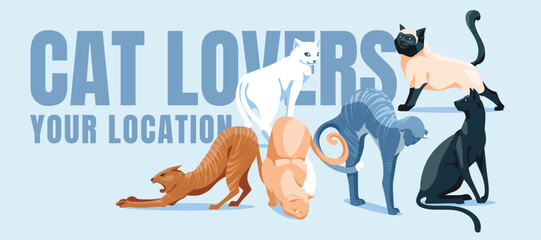 Set of different cats. Veterinary poster or pet food shop design. Vector flat illustration.