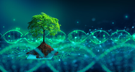 Tree with soil growing on  the converging point of computer circuit board. Blue light and wireframe network background. Green Computing, Green Technology, Green IT, csr, and IT ethics Concept.