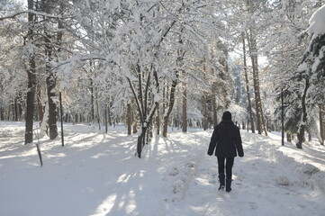Fototapeta na wymiar walking in the snow