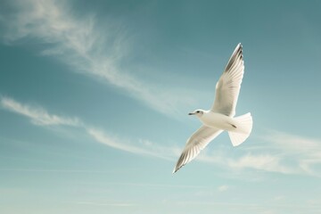 A majestic western gull soars through the open sky, its outstretched wings gliding effortlessly above the sea and fluffy white clouds