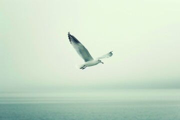 A graceful gull soars above the ocean's endless expanse, its wings gliding effortlessly over the shimmering water below
