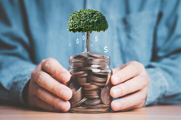 Trees growing on coins in saving jar with USD dollar sign for money deposit savings to return...