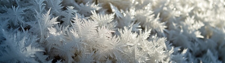a close up of frost on plants