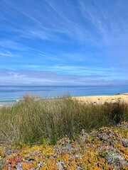 Blue ocean view, rocky coast with colorful plants, vivid ocean coast, natural colors, blue sky, summer
