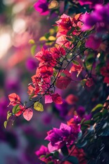 a close up of a plant