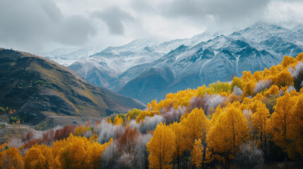 A mountain range in the autumn with yellow trees.