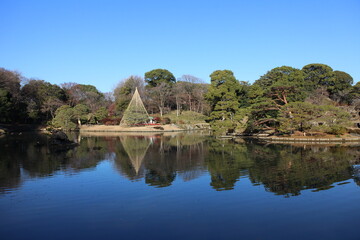 Obraz premium Daisensui Pond and Yukitsuri (snow hanging) in Rikugien Garden, Tokyo, Japan