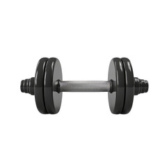 Fototapeta premium Black rubber metal Dumbbell transparent background